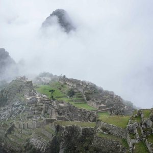 ادکلن یونیسکس دیور ساواج ۶۰ میل