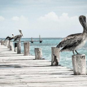 دسته کلید پارچه‌ای هندسی
